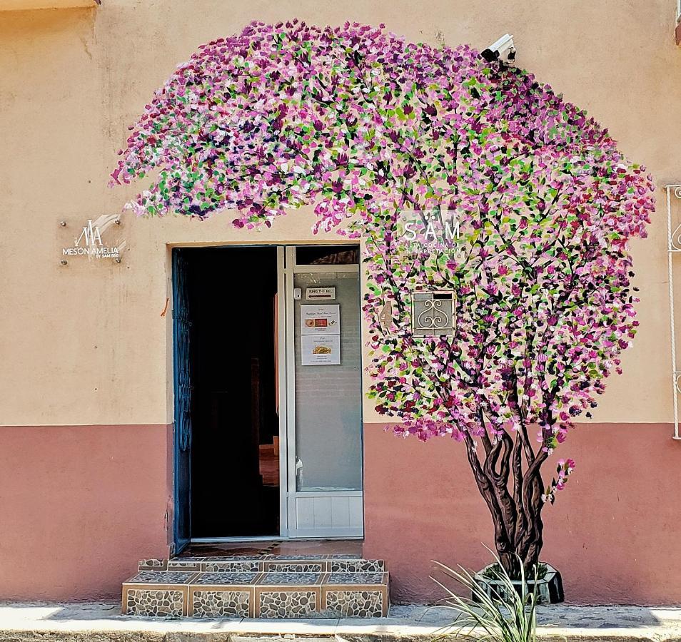 Meson Amelia Hotel San Miguel de Allende Buitenkant foto